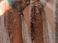 Laden und Abspielen von Videos im Galerie-Viewer, Video: Empress Top Top Biquini Angel Leopardo
